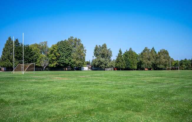 A grassy field with trees in the background and goalposts on the left.