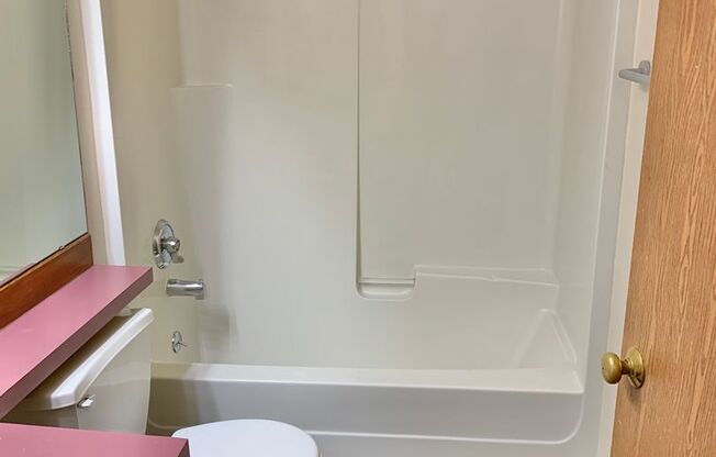 Studio, 1 bath, 460 sqft, $1,295, Unit 305