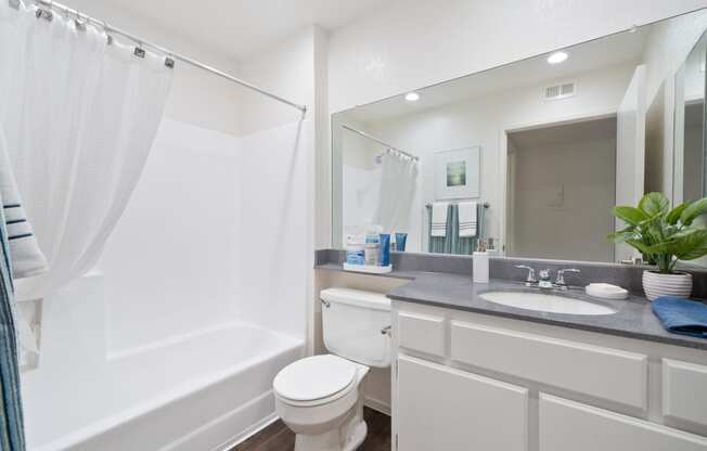 a bathroom with a sink toilet and a shower