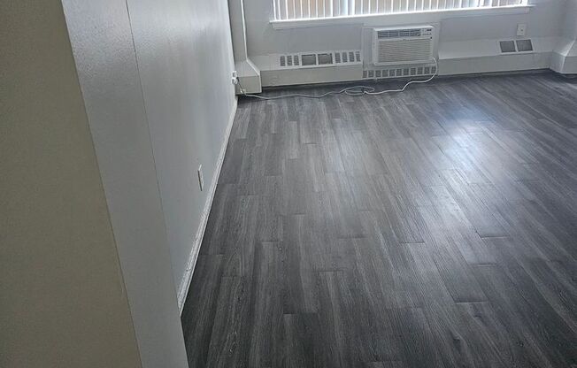 1 bed, 1 bath, 600 sqft, $1,400, Unit 1009