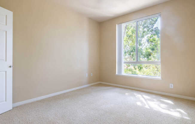 Carpeted Bedroom