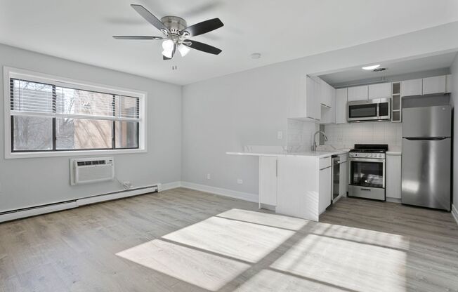 Studio, 1 bath, 356 sqft, $1,550, Unit 206