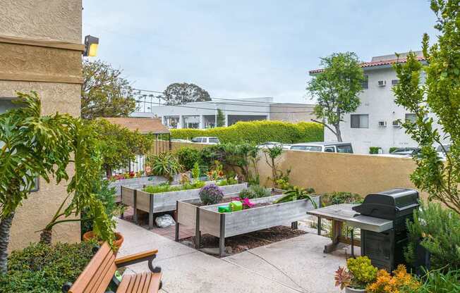 a backyard with benches and plants and a grill at Huntington Terrace North Senior, Huntington Beach, 92648