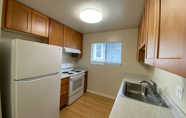 2 beds, 1 bath, $2,600, Unit 203