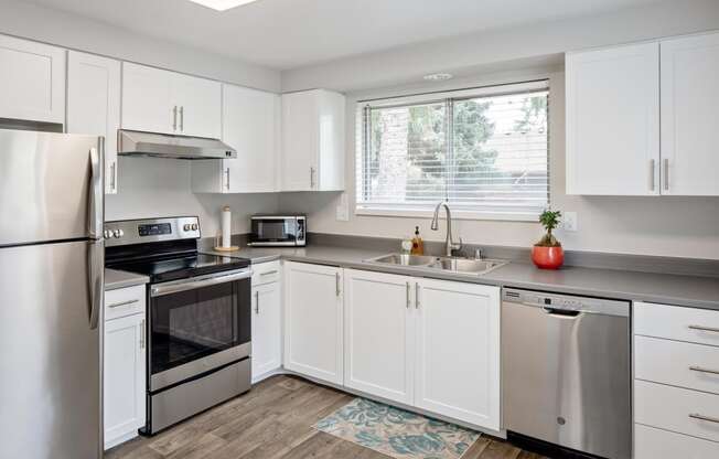 Newly Renovated 1-, and 2-Bedroom Apartments