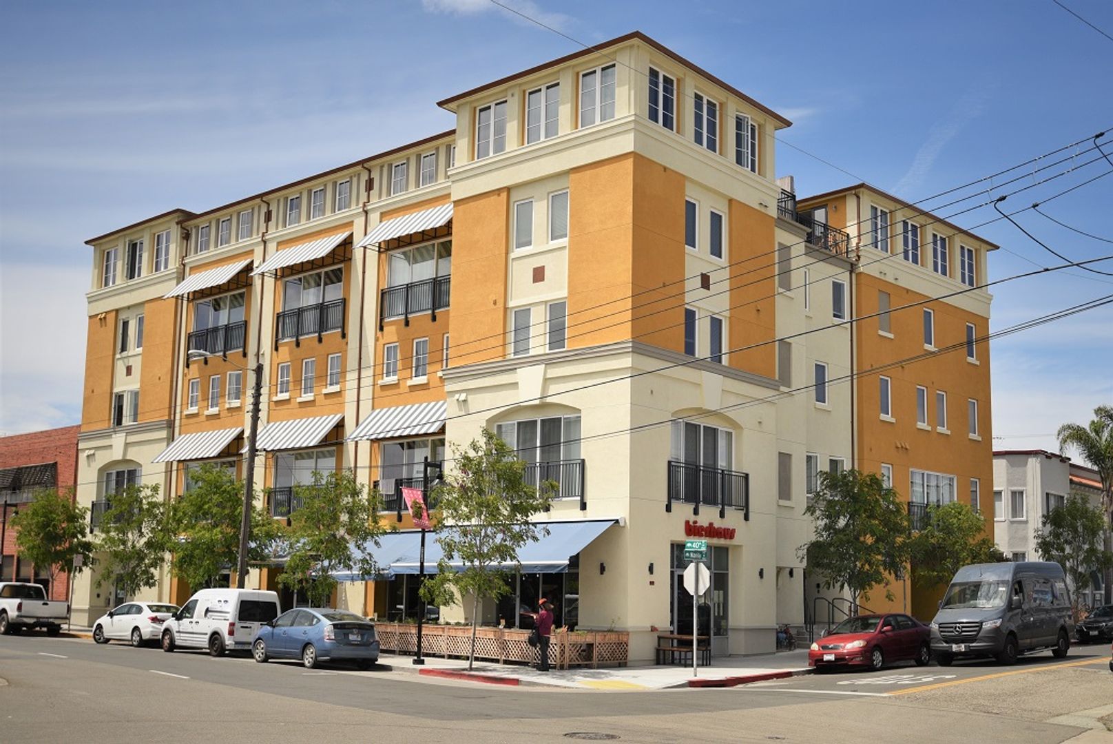1p614 - The Temescal Muse