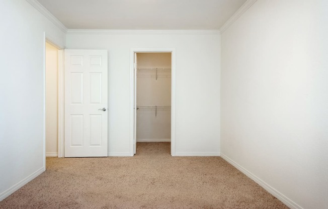 a bedroom with a closet and a carpeted floor