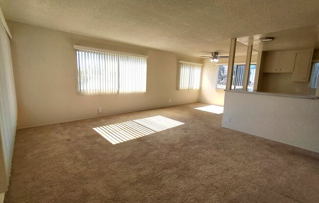 Memorial Apartments- Spacious  Clean 2 Bedroom 2 Bath Apartment in Memorial Heights