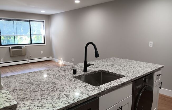 1 bed, 1 bath, $1,250, Unit 313