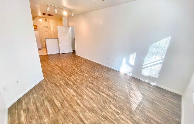 1 bed, 1 bath, $1,450