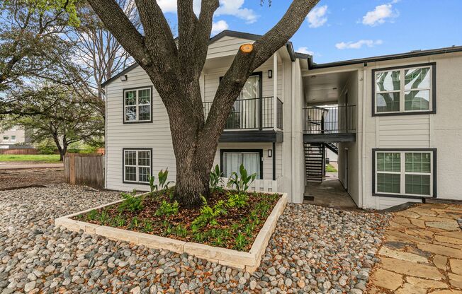 1 bed, 1 bath, 495 sqft, $1,275, Unit 216