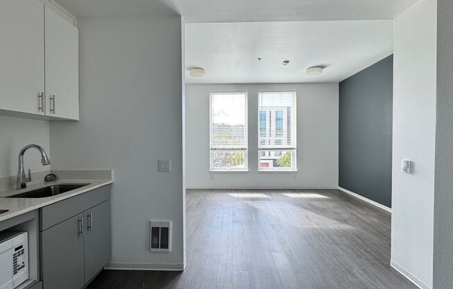 Studio, 1 bath, 317 sqft, $1,035, Unit 417