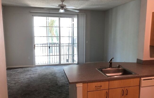 Beautiful 1/1 condo with great amenities