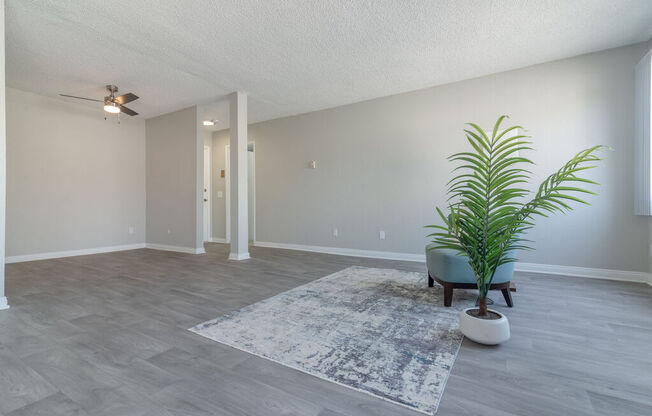 Spacious Living Area at Citra Apartments LLC, San Diego