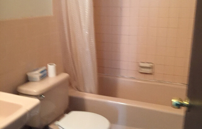 1 bed, 1 bath, 700 sqft, $1,650, Unit 150-4E