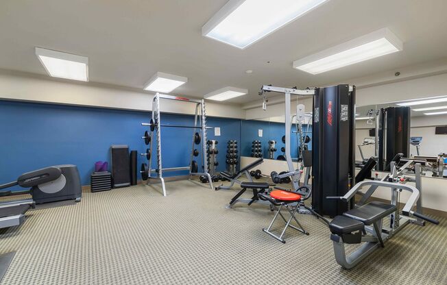 1 bed, 1 bath, 908 sqft, $3,000, Unit T103