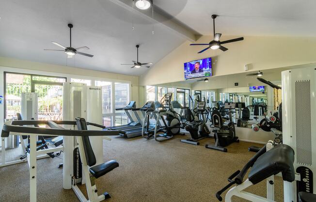 A gym with a variety of equipment including treadmills, stationary bikes, and weight machines.