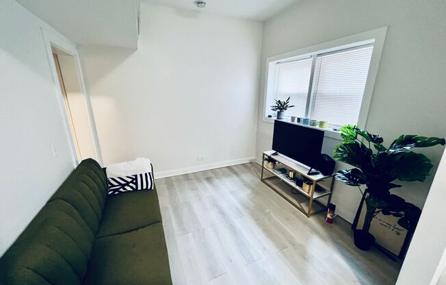 Modern 2 Bed Available in Pilsen