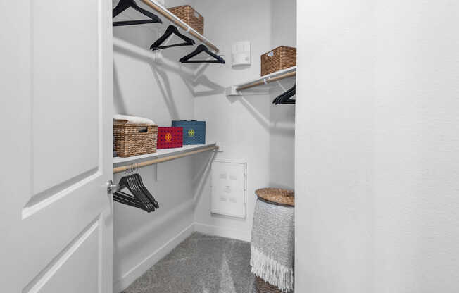 Carpeted Closet