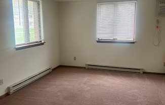 1 bed, 1 bath, $1,100, Unit 3806