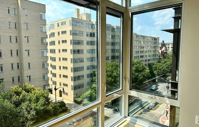 1 bed, 1 bath, $2,725, Unit 205