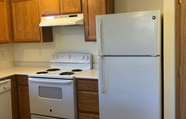 1 bed, 1 bath, 650 sqft, $1,300