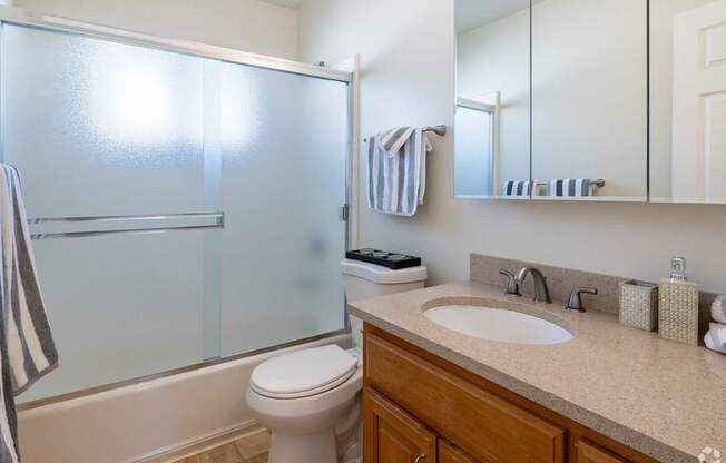 a bathroom with a sink toilet and shower