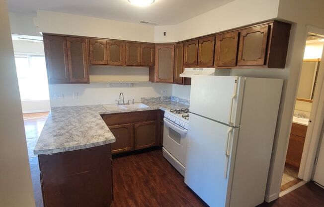 2 beds, 1 bath, $1,500, Unit 7345 South Kedzie Avenue - 3E