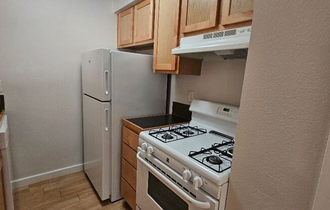1 bed, 1 bath, 700 sqft, $1,054, Unit ELP2202-146