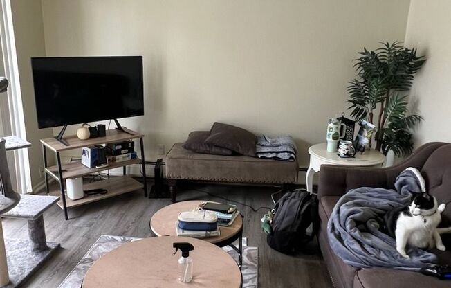 Spacious 2-Bedroom Units in Ann Arbor's Old Westside