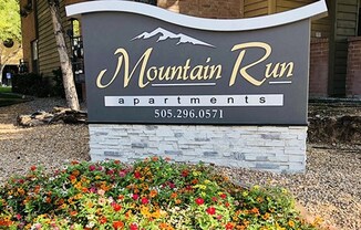 MOUNTAIN RUN
