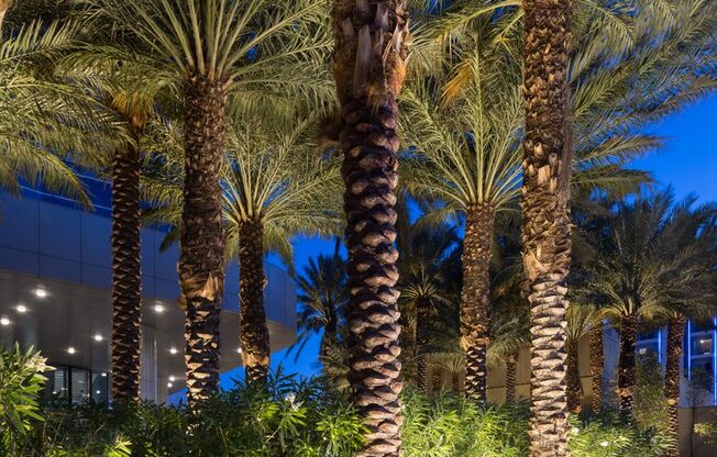 2 beds, 1.5 baths, $3,499, Unit # 2406