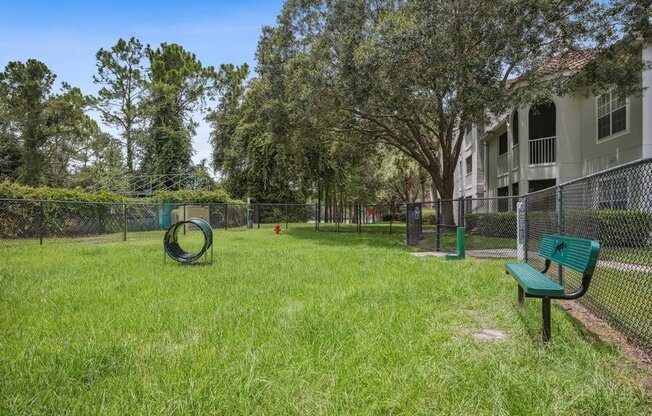 Dog park with Agility Equipment