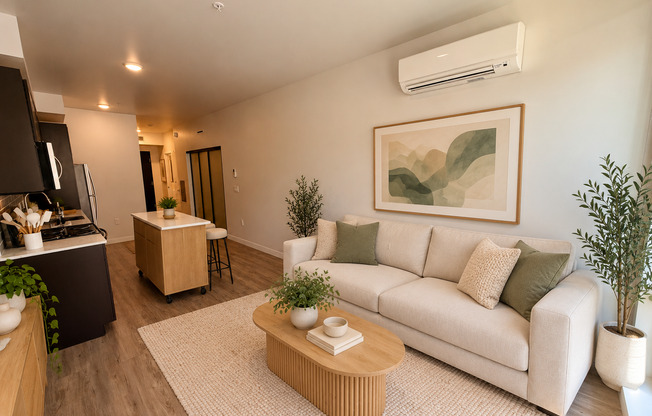 1 bed, 1 bath, 509 sqft, $1,849, Unit Unit 505