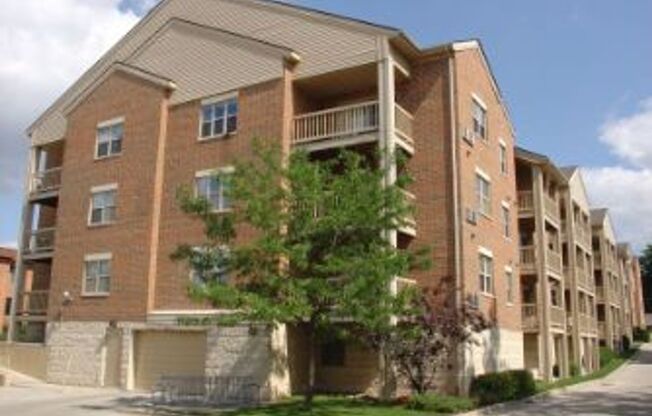 1 bed, 1 bath, 850 sqft, $1,445, Unit 206