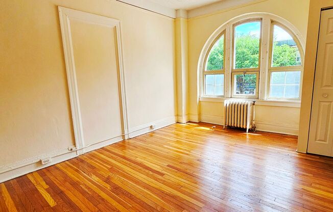 Studio, 1 bath, 240 sqft, $1,100, Unit 212A