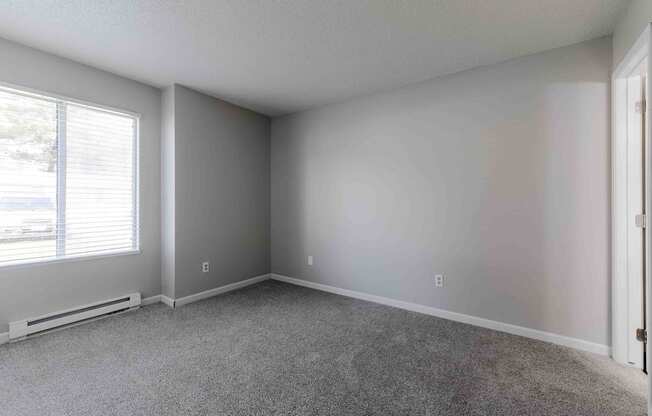 A room with a carpeted floor and a window with blinds.