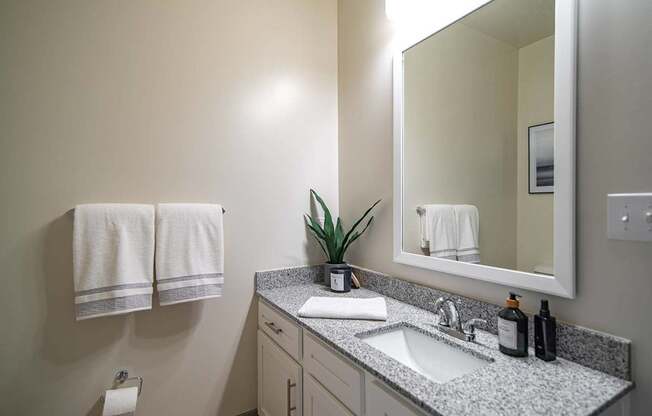 A bathroom with a sink, mirror, towels, and a plant.