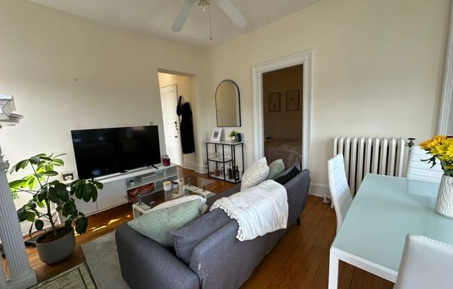 1 bed, 1 bath, 500 sqft, $2,450, Unit 41