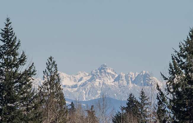 View of the Cascade Mountains