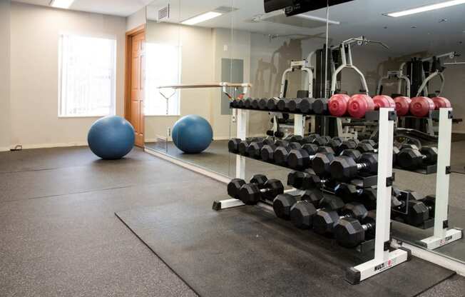 fitness center with free weights