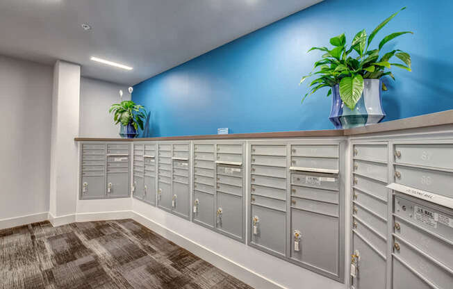 A row of mailboxes are lined up against a blue wall.
