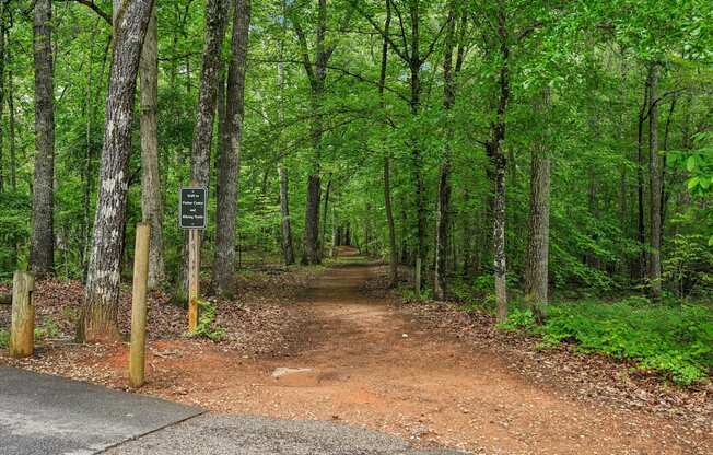 Trail in wooded area.