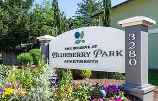 Reserve at Blueberry Park