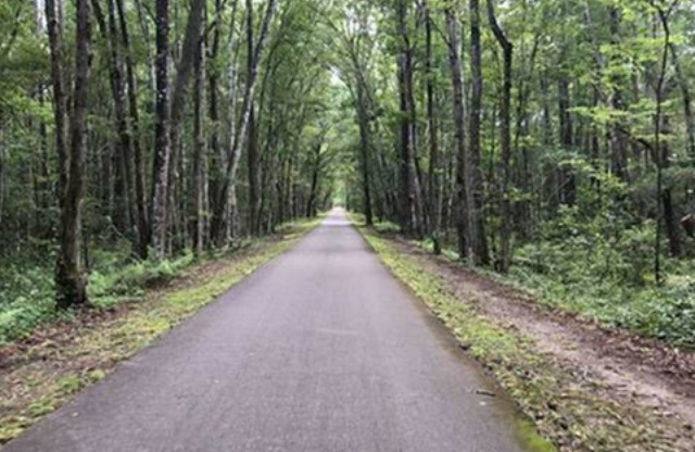 Baldwin Rail Trail