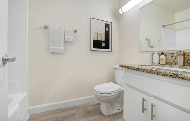 a bathroom with a toilet and a sink and a mirror