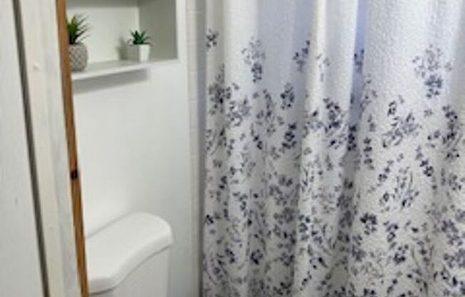 2 beds, 1 bath, $1,875