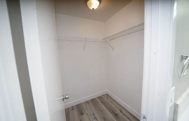 1 bed, 1 bath, $1,095