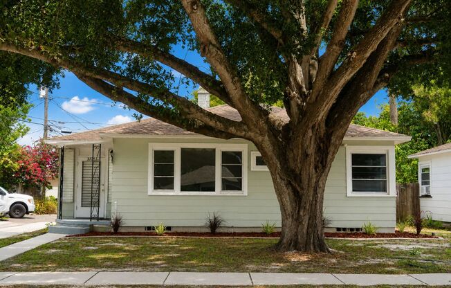 2 Bedroom, 1 Bathroom Home for Rent in St Pete!
