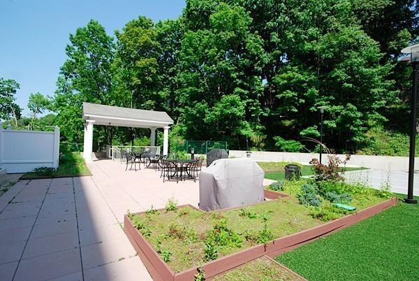 1 bed, 1 bath, 871 sqft, $3,100, Unit 206